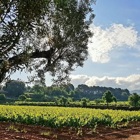 公寓 La Gatera Casa Rural Entre Vinas