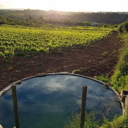 La Gatera Casa Rural Entre Vinas * Gelida
